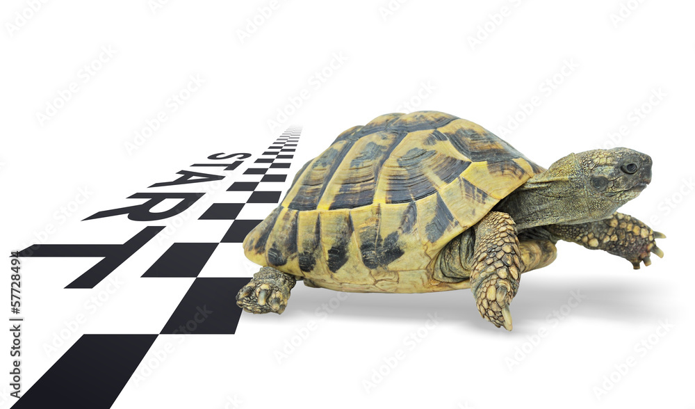 Obraz premium Odlecieć