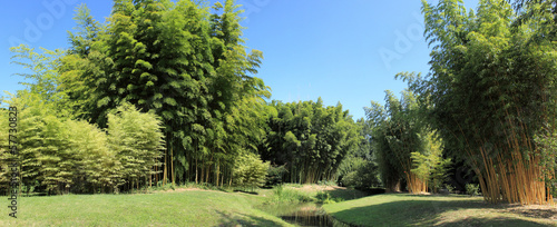 panoramioque sur jardin de bambous #57730823