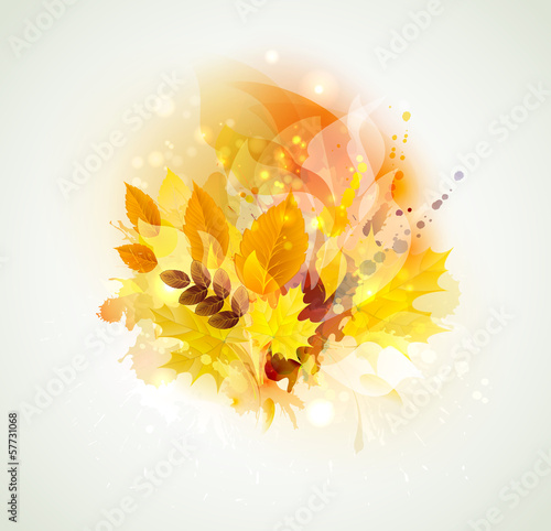 autumn color composition