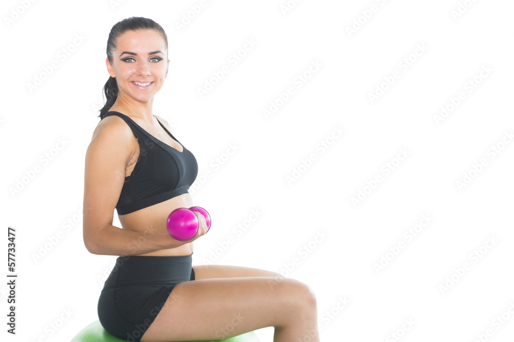Beautiful slim woman using pink dumbbells sitting on an exercise Beautiful slim woman using pink dumbbells sitting on an exercise
