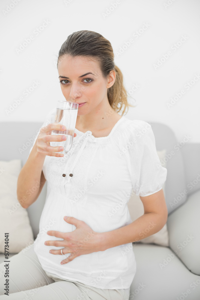 Beautiful pregnant woman touching her belly drinking a glass of Beautiful pregnant woman touching her belly drinking a glass of