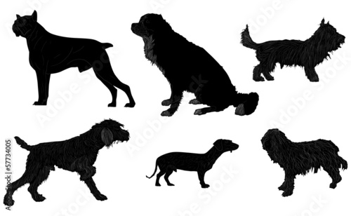 six black isolated dogs