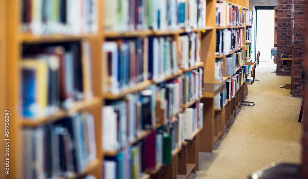 Aisle along bookshelves in the college library Aisle along bookshelves in the college library