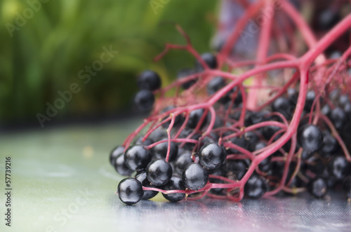 Holunderbeere auf dem silberen Tablett photo