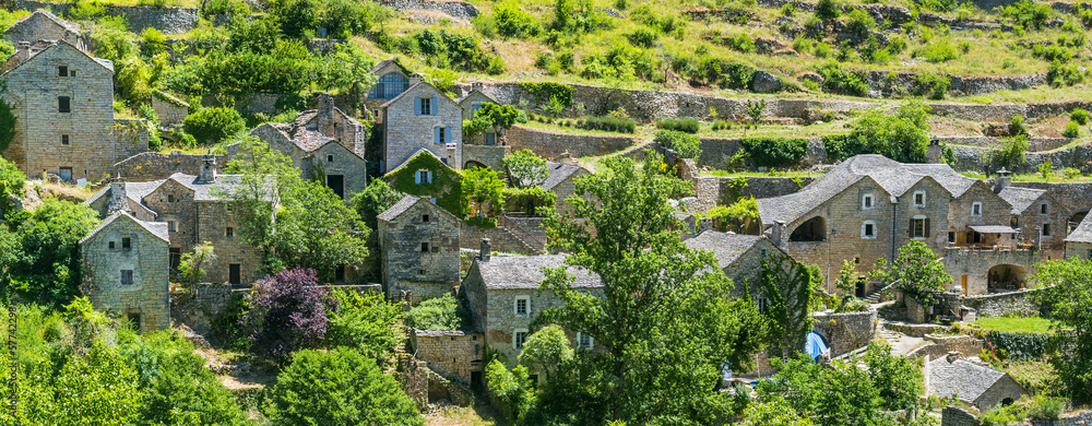 Obraz premium Gorges du Tarn, village