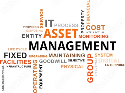 word cloud - asset management