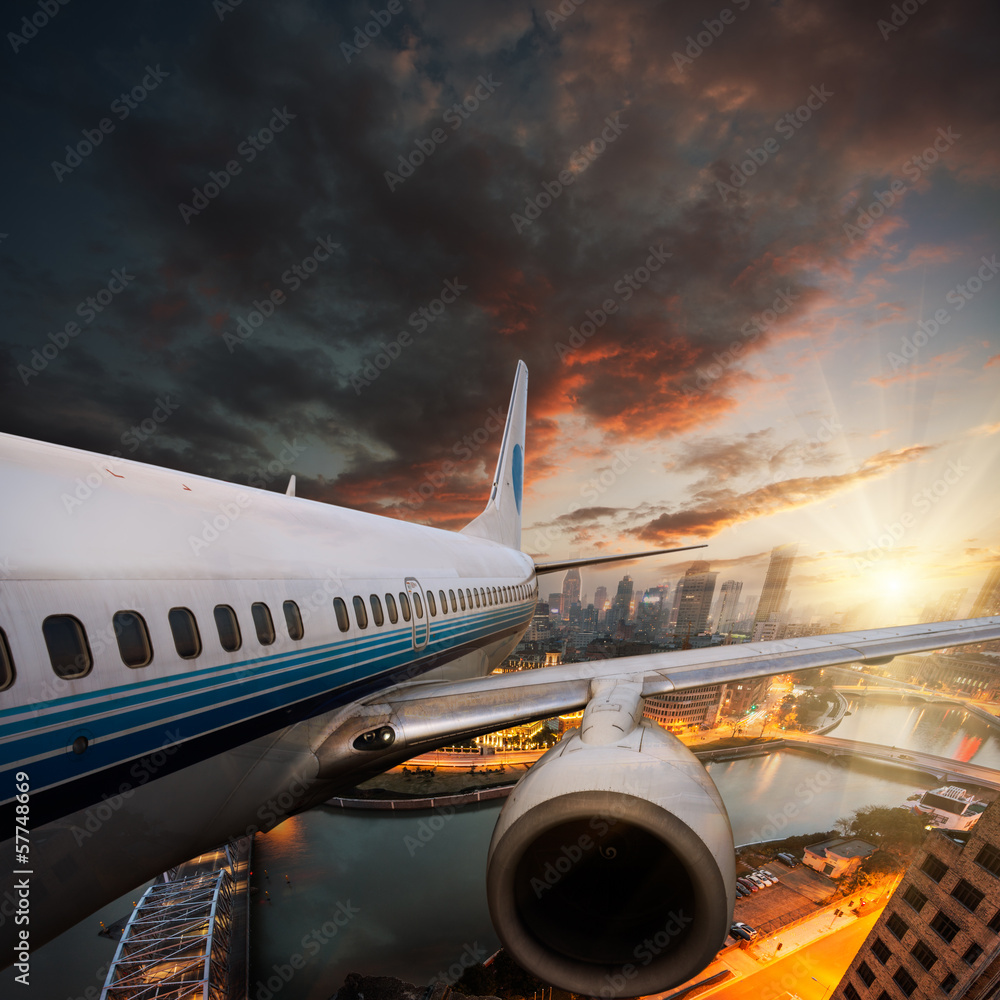 Fototapeta premium fly away
