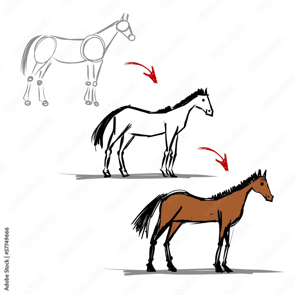 Fototapeta premium Stages of drawing horse sketch for your design