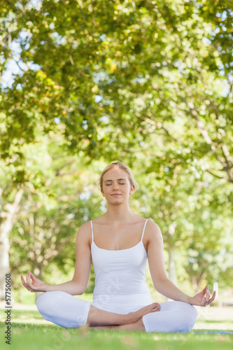 Peaceful attractive woman meditating in a park