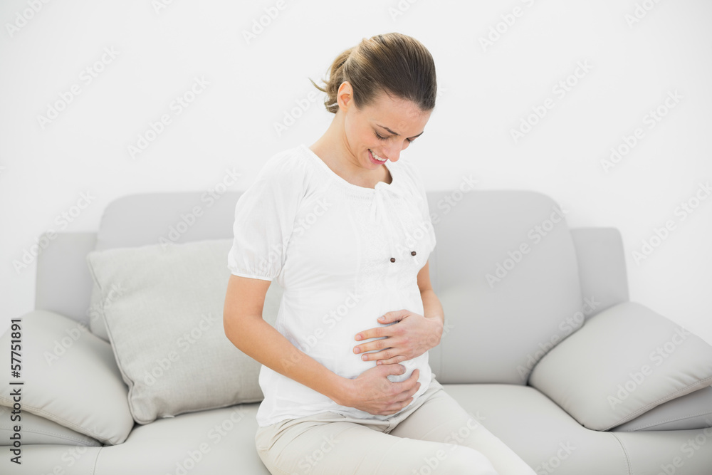 Proud pregnant woman sitting on couch touching her belly Proud pregnant woman sitting on couch touching her belly