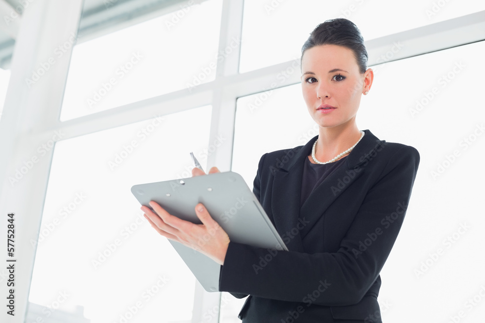 Young elegant businesswoman writing notes in office