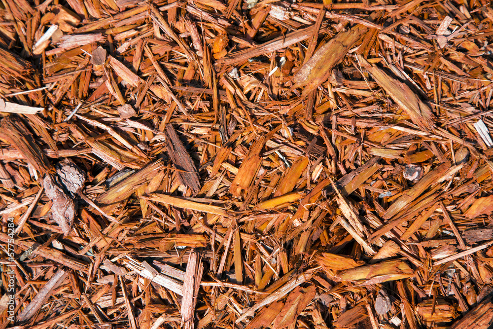 Background of natural wood shavings Background of natural wood shavings