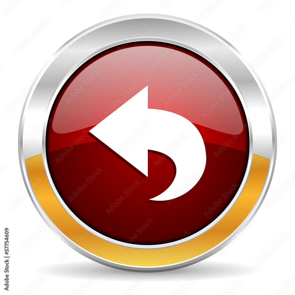back icon back icon