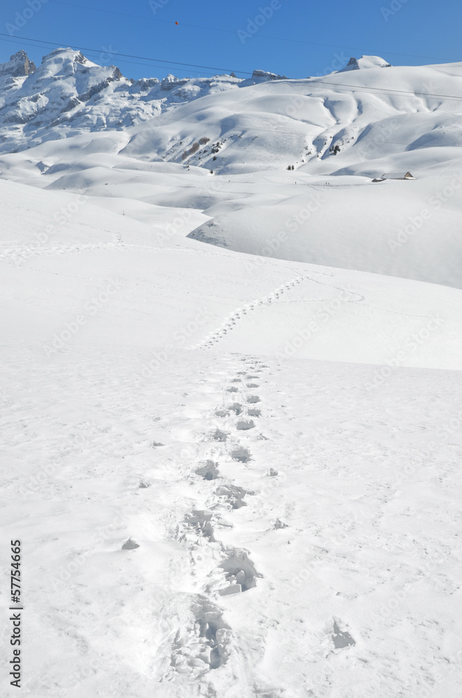 Footprints on the snow. Switzerland