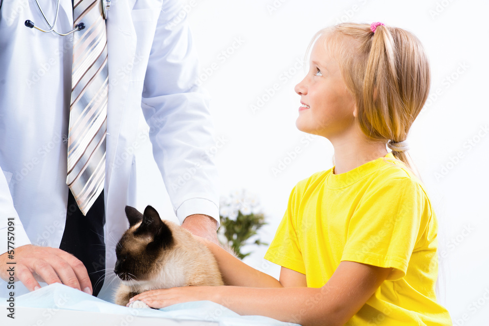 girl brought the cat to the veterinarian girl brought the cat to the veterinarian