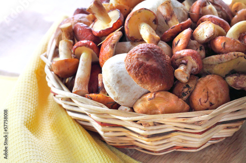 Forest mushrooms in a wicker basket
