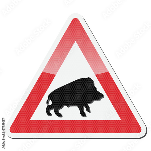 Wildschwein