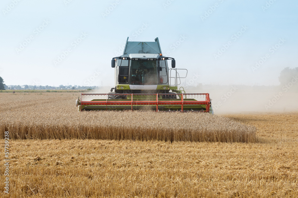 Fototapeta premium grain harvester