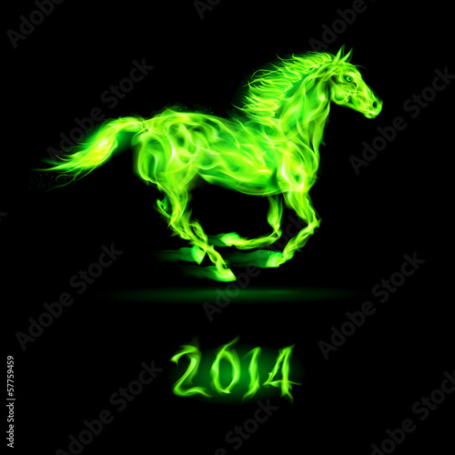New Year 2014  fire horse.