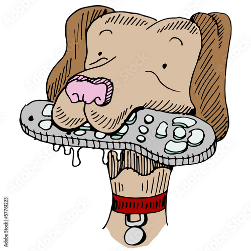 Dog Chewing Remote Control