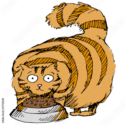 Fat Cat