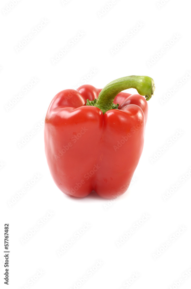 red paprika on white background red paprika on white background