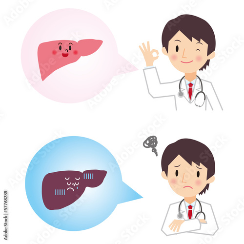診断結果　肝臓