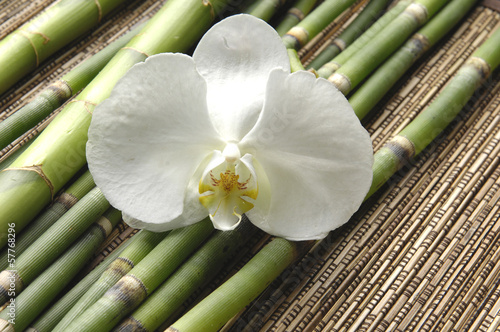 Macro of orchid and bamboo grove on stick straw mat