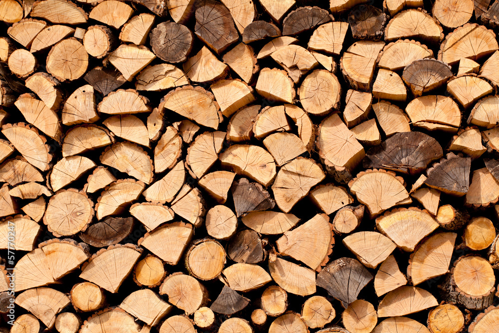 Stack of dried firewood of birch wood Stack of dried firewood of birch wood