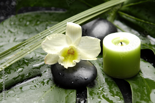 Beautiful orchid and stones with candle on monstera plant     