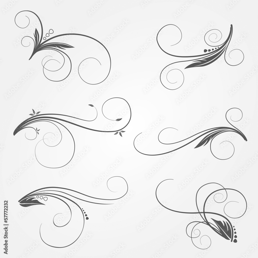 Fototapeta premium Ornamente Deko Floral