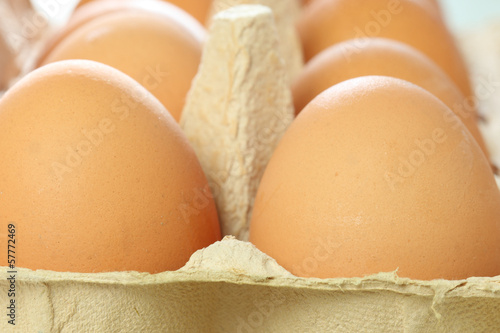 Eier