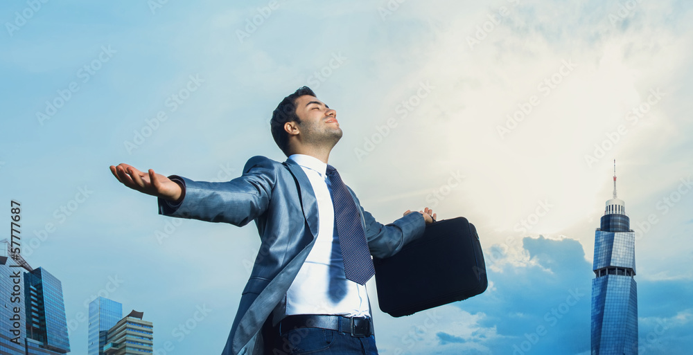 Successful businessman with arms outstretched celebrating succes - obrazy, fototapety, plakaty 