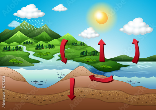 The water cycle