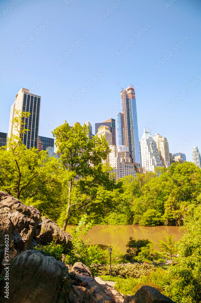 Fototapeta premium New York City cityscape on a sunny day