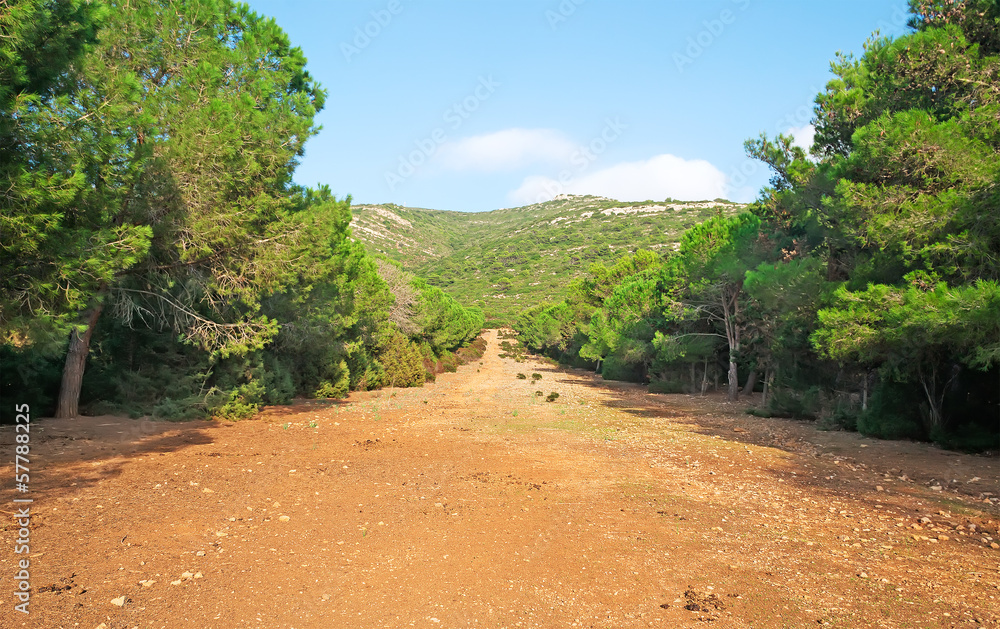 Path in Capo Caccia