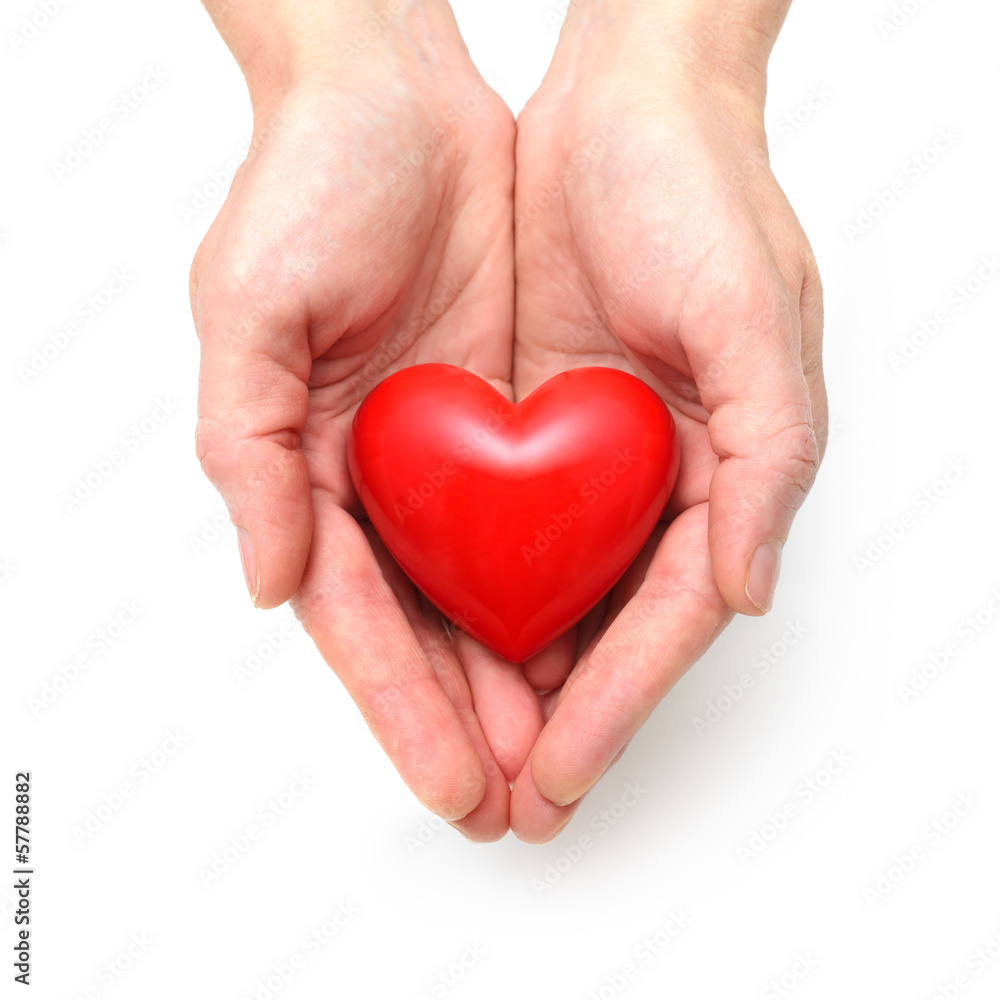 Heart at the human hands Heart at the human hands