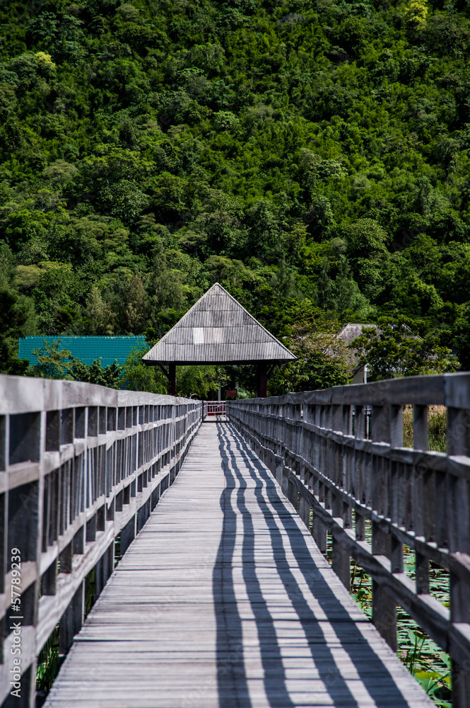 Obraz premium pavilion and wood bridge in swamp