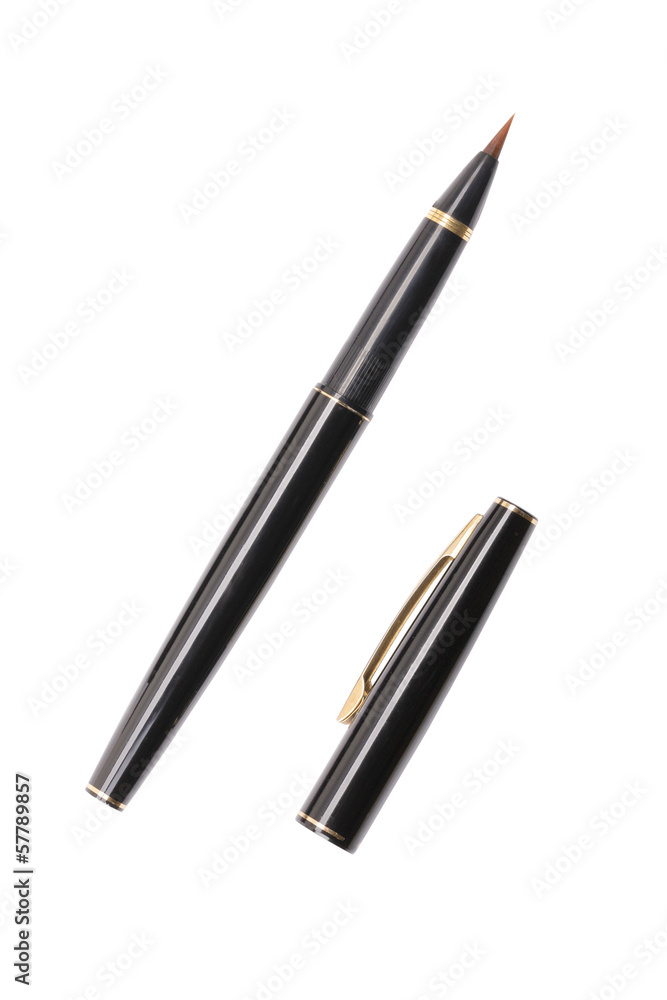luxurious japanese fountain pen isolated on white luxurious japanese fountain pen isolated on white