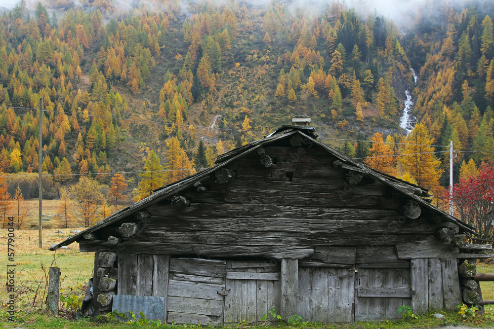 Mountain chalet for cattle