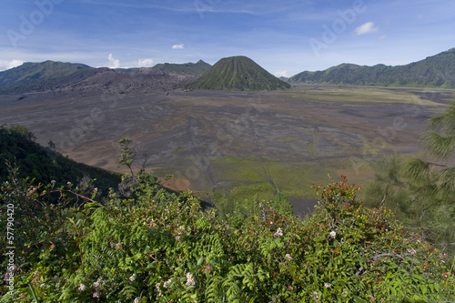 Wulkan Bromo - Jawa photo