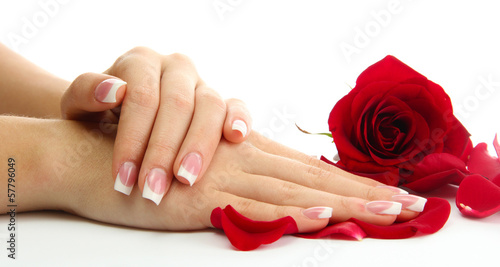 Beautiful woman hands with rose  isolated on white