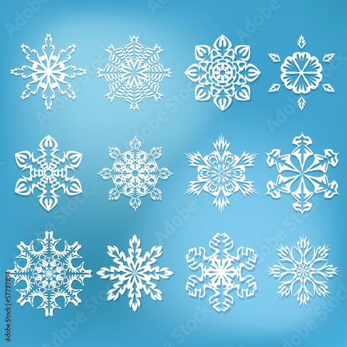 Set of 12 snowflakes. Vector illustration