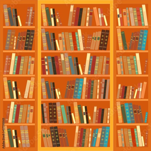 Large bookcase with different books
