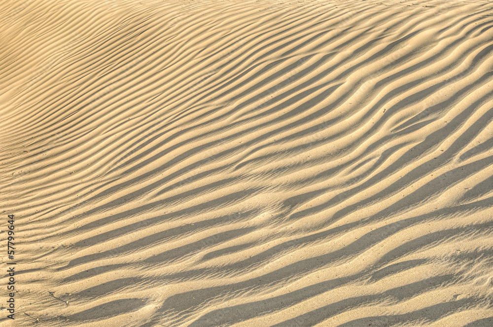 sand dune texture sand dune texture