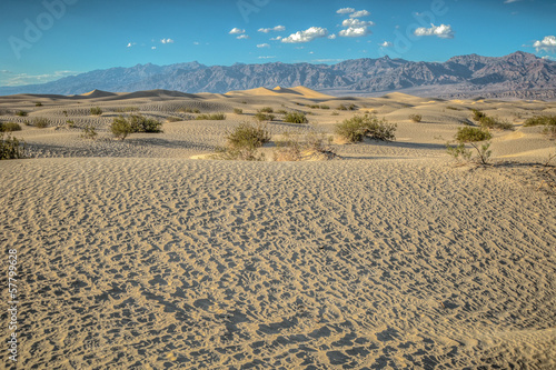 dunes in Death Valley © weltreisendertj