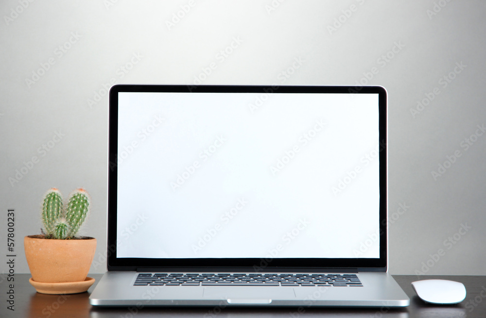 Fototapeta premium Laptop and cactus in flowerpot