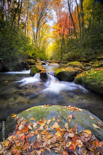 Fototapeta Naklejka Na Ścianę i Meble -  Silky Autumn Stream in the Smokies