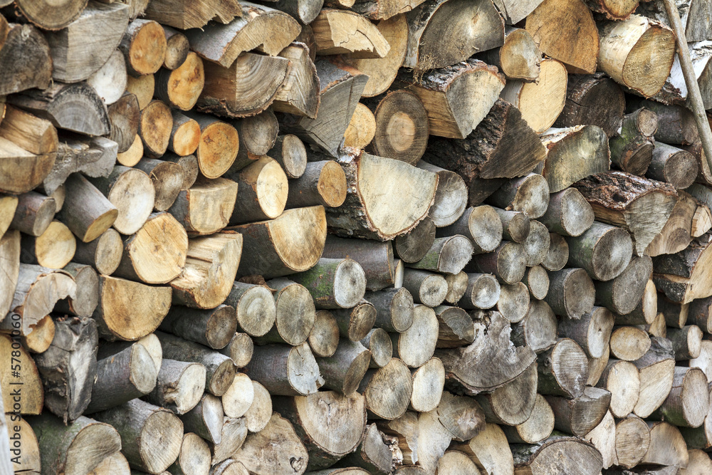 Logs of Wood of Different Kinds, Sizes and Shapes Piled Together Logs of Wood of Different Kinds, Sizes and Shapes Piled Together