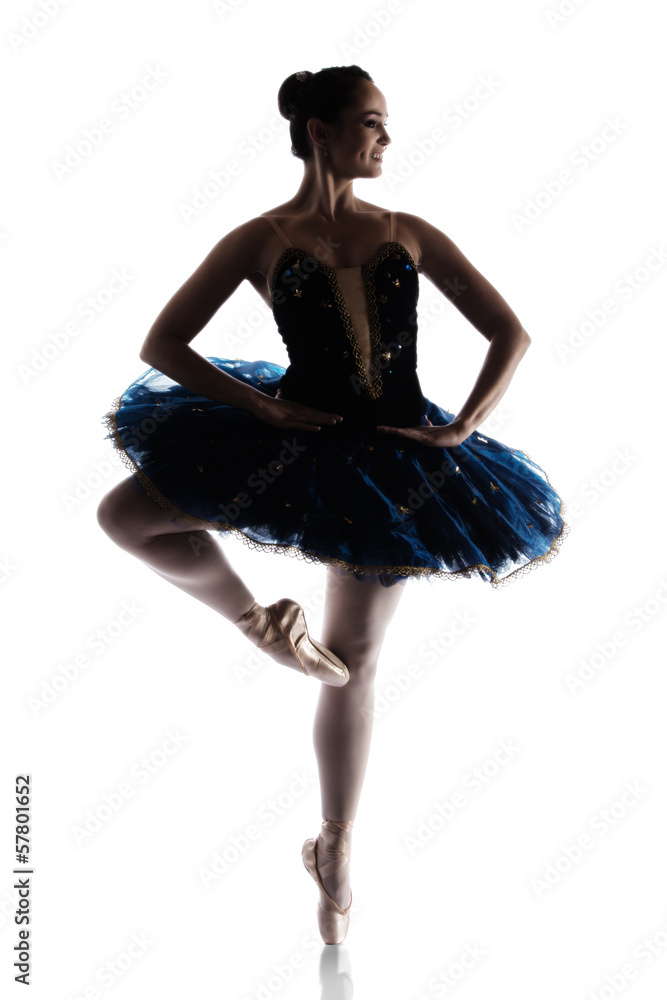 Female ballet dancer Female ballet dancer